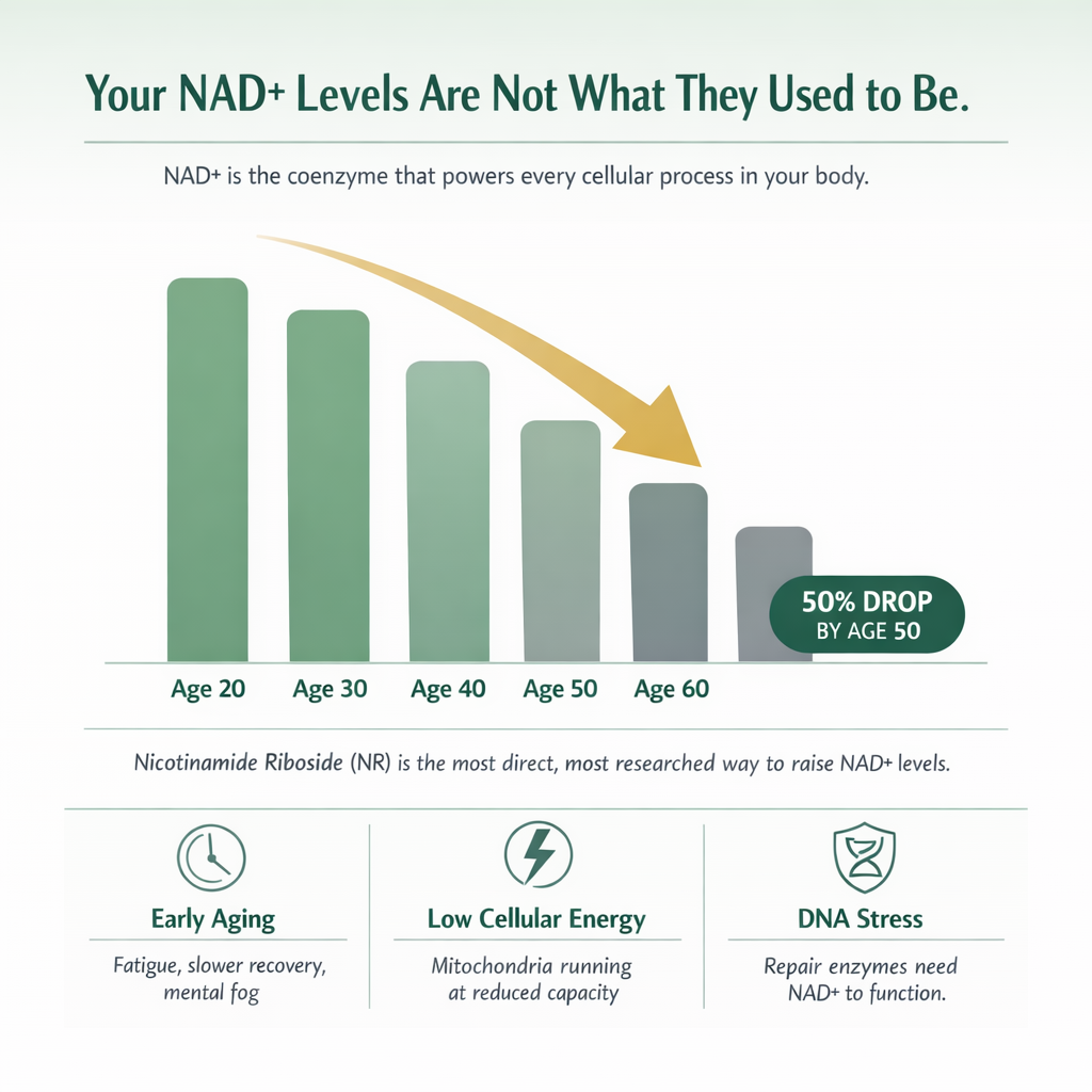Anti Aging