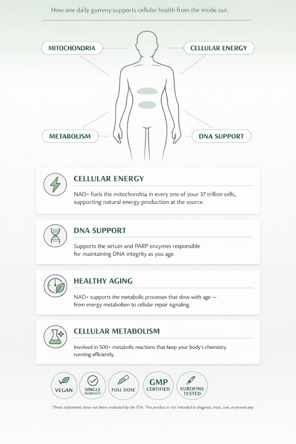 Anti Aging