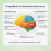 focus hero 3 10 Ingredients for Total Brain Performance