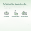 The Nutrients Other Gummies Leave Out